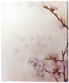 Cherry Blossom (400x400), Png Download