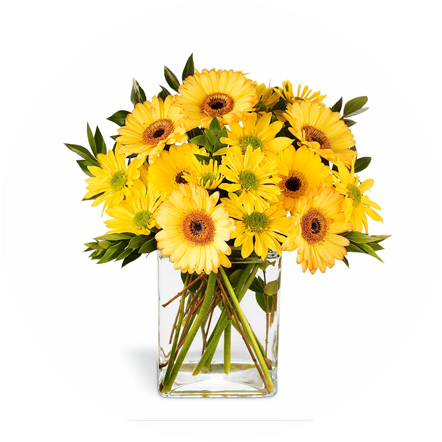 Yellow Daisy Bouquet (442x442), Png Download