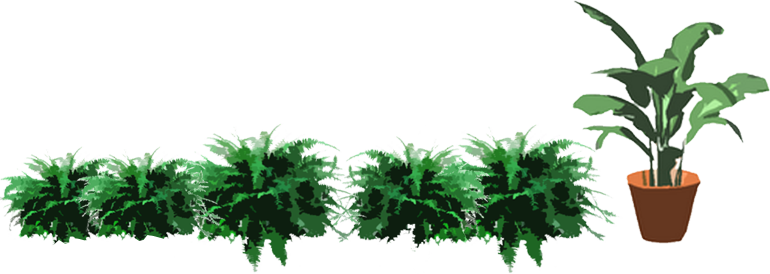 Activity 6 Plants Are Used For Many Things - Vegetable Plants Transparent Background (770x274), Png Download