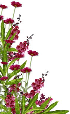 Fle Fleure - Shoe Dazzle Blush, Silver Heels (320x400), Png Download