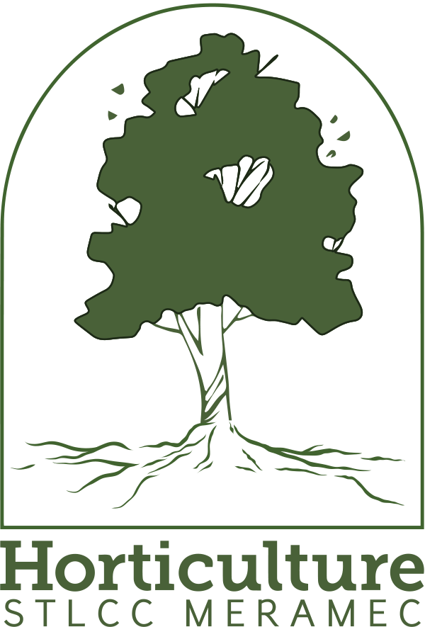 Special Presenting Sponsors - November (600x885), Png Download