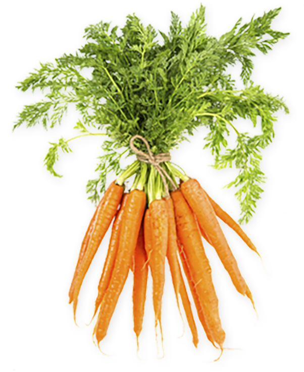 Learn The Essentials First And Worry About The Rest - Bospeen (602x738), Png Download