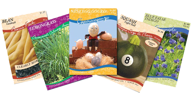 Seed Packets - Nest Egg Gourd 50 Seeds - Paint As Easter Eggs! (686x333), Png Download