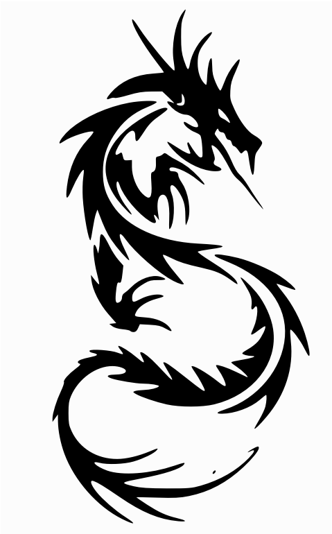 Clipart - Dragon - Dragon Tattoo Black And White (800x800), Png Download