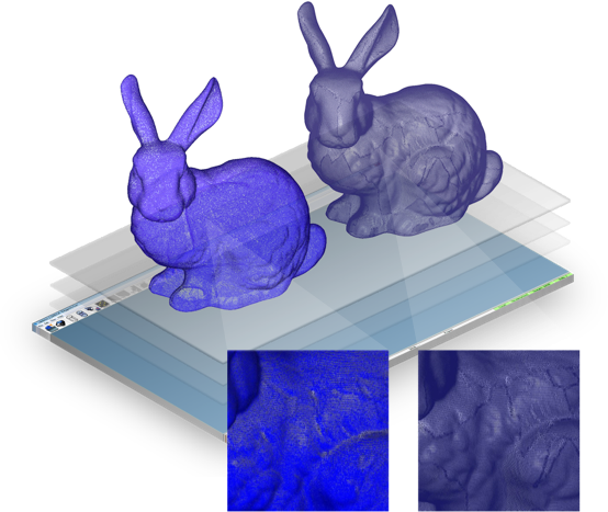 Registration - Domestic Rabbit (554x467), Png Download