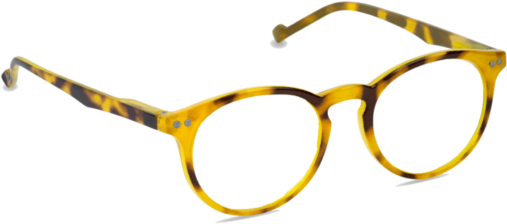 Brain Trust - Golden Tortoise Beetle (850x374), Png Download