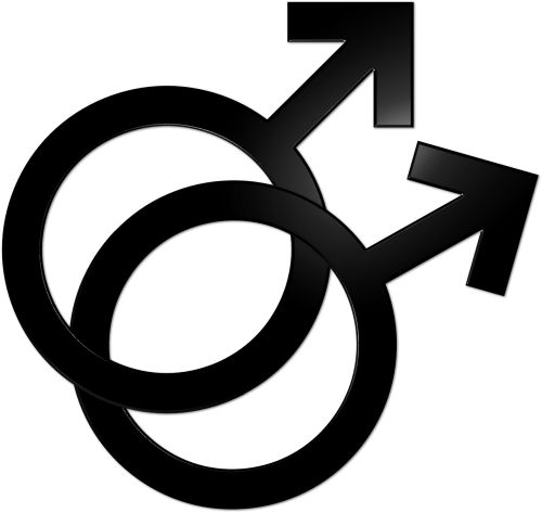 Gay Symbol Transparent (500x473), Png Download