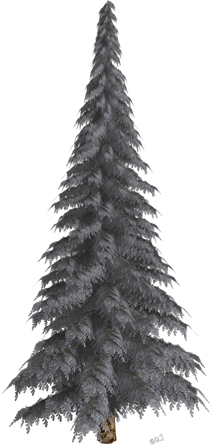 Winter Trees & Christmas Trees - Christmas Tree (780x1600), Png Download
