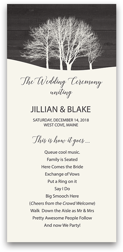 Download Rustic Winter Wonderland Wedding Ceremony Program