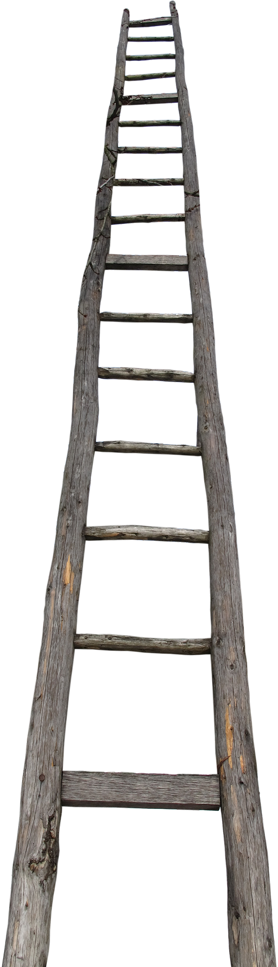 Farming Firm Fined After Ladder Fall - Scala A Pioli Png (915x1920), Png Download