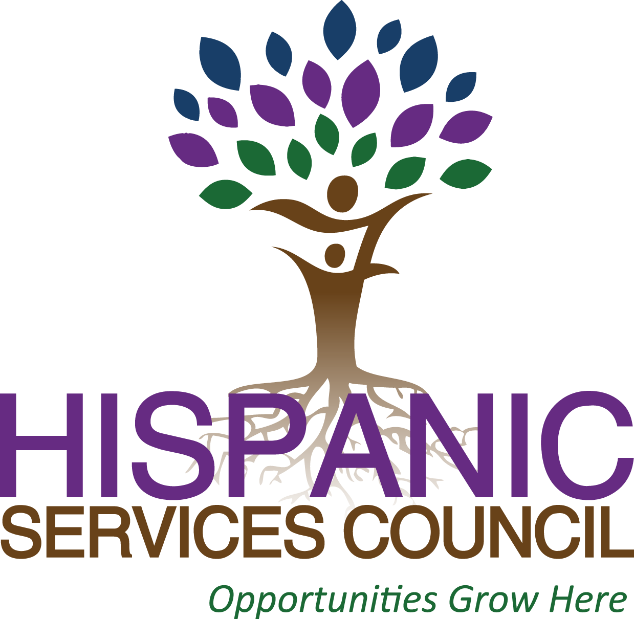 E3f859 - Hispanic Services Council Tampa (1239x1210), Png Download