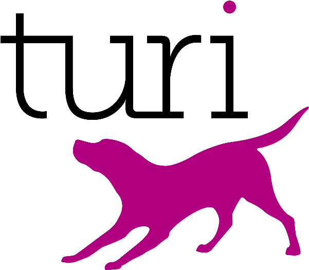 Apple Acquires Machine Learning Startup Turi - Turi Create (800x524), Png Download