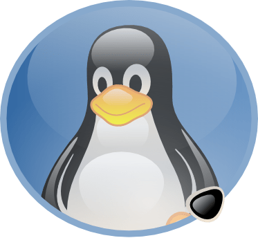 Share This - - Linux User Png (373x344), Png Download