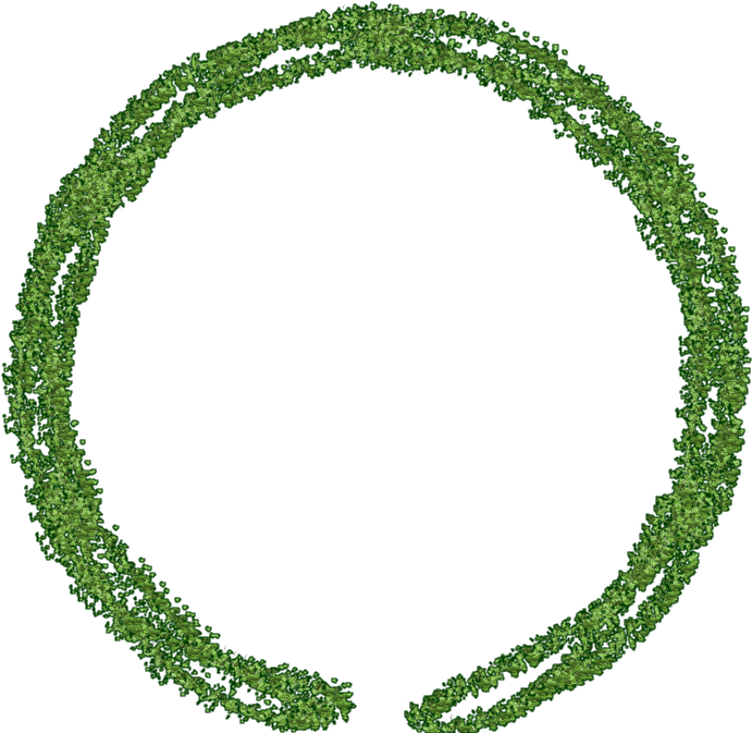 Image - Circle (800x727), Png Download