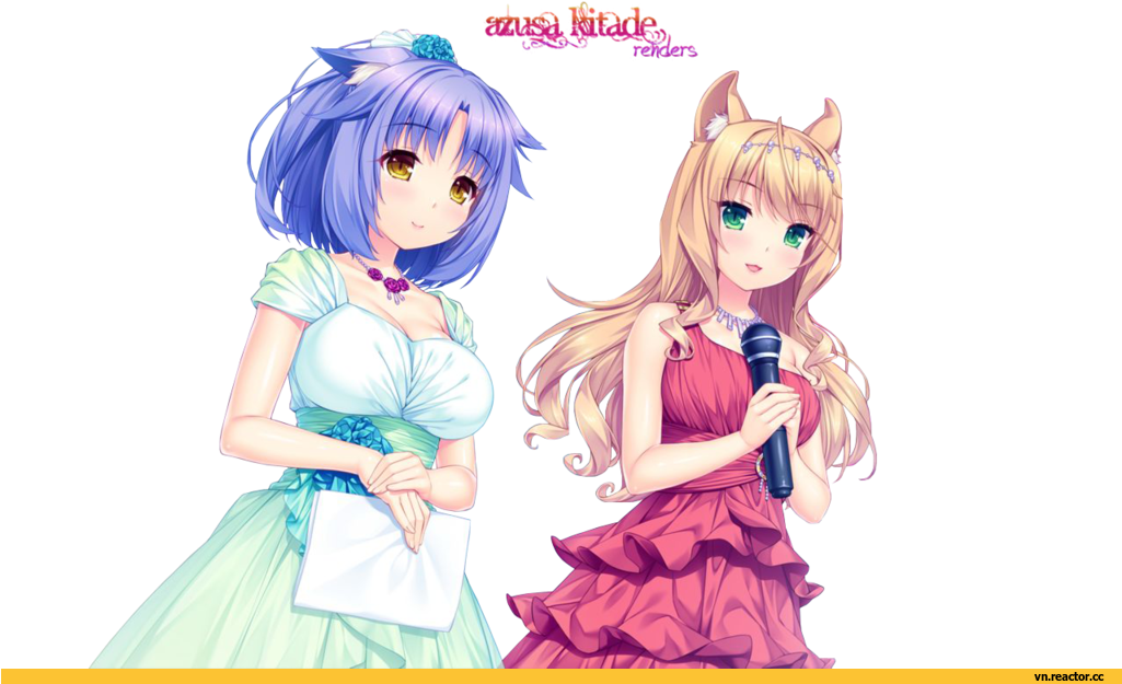 Cat (1024x675), Png Download