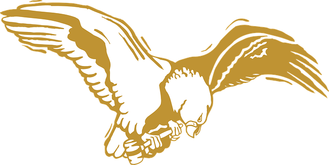Download Eagle Bird Gold Wings Feathers Golden Eagle Clip