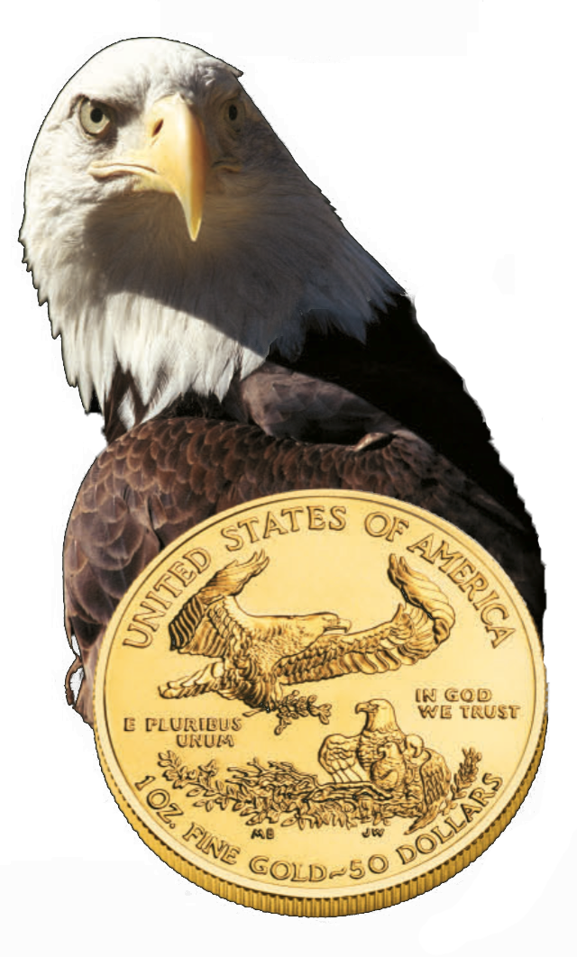 History Of American Gold Eagle - Guardhouse 1 Oz American Gold Eagle Coin Tubes 50 Pack (640x1062), Png Download