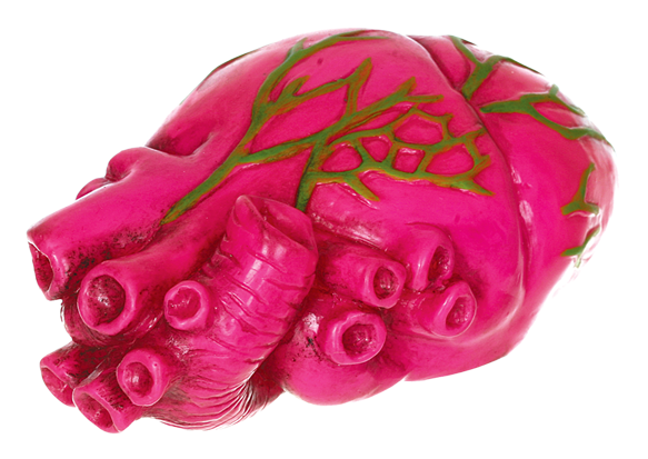 Neon Realistic Heart - Theatrical Property (650x436), Png Download