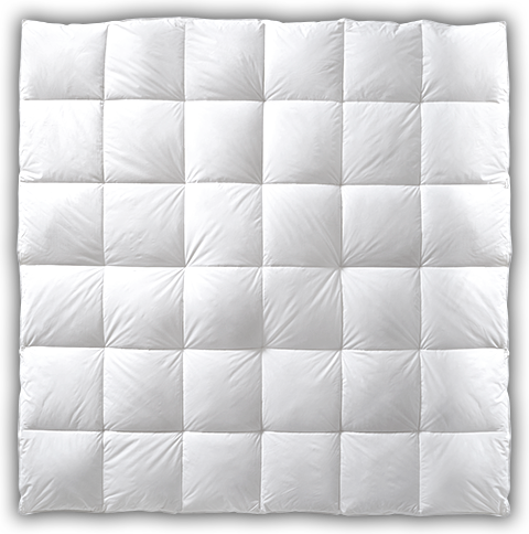 Pacific Coast® Down - Mattress Pad (480x484), Png Download