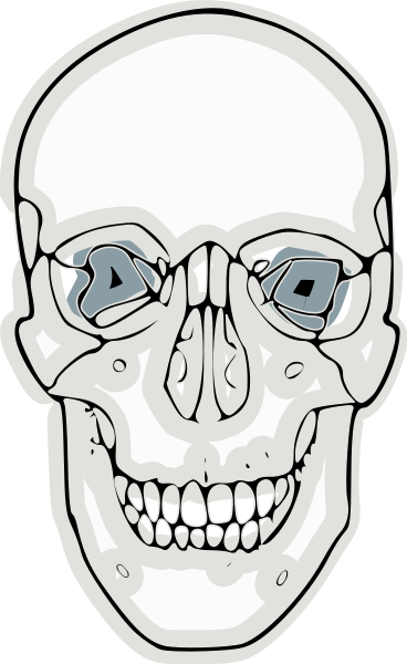 Digitalized Human Skull Clipart Png - Skull (368x600), Png Download