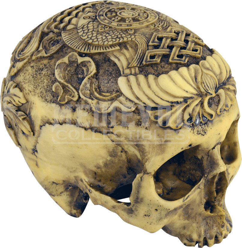 Skull (850x850), Png Download