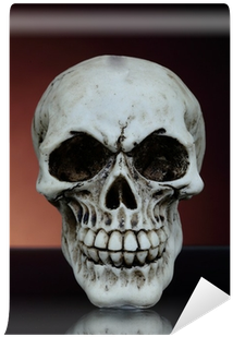 Stock Photography (400x400), Png Download