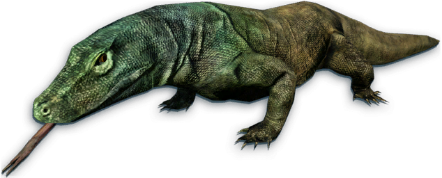 Komodo Dragon Transparent Png - Far Cry 3 Komodo (669x256), Png Download