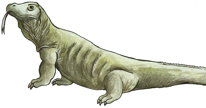 Komodo Dragon Png File - Komodo Painting (709x372), Png Download