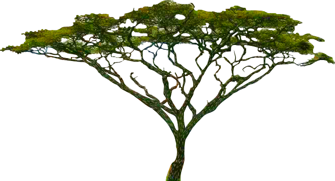 The Komodo Dragon Lives In Indoenisia Which Is By The - Acacia Tree (690x374), Png Download