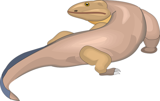 Картинки По Запросу Komodo Dragon Наброски - Vector Graphics (541x340), Png Download