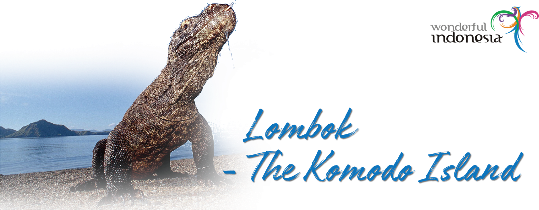 The Lombok Island Features Stunning Beaches And Bays - Komodo Dragon (1900x733), Png Download
