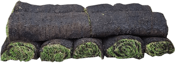 Turf Rolls - Artificial Turf (500x450), Png Download