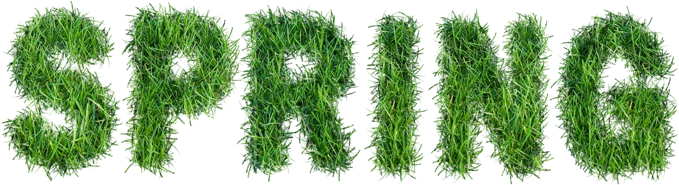 Turf Png (1470x483), Png Download