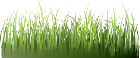 Grass - Orientando, Diario Di Viaggio Un Po' Psicotico E Un (600x600), Png Download