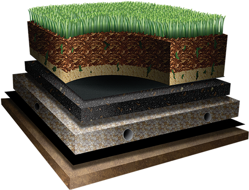 Turf Systems - Turf Layers (500x379), Png Download