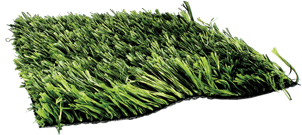 True Grass 407 - Sweet Grass (600x280), Png Download