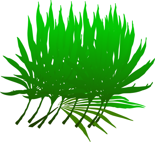 Palm Frond Clip Art (600x550), Png Download