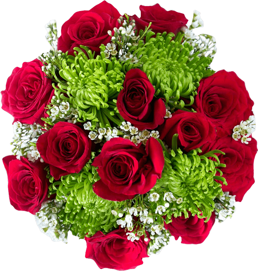 Candy Apple - Floribunda (1000x1000), Png Download