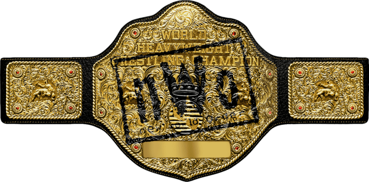 Wcw World Heavyweight Championship Wcw World Heavyweight - Wcw World Heavyweight Championship Nwo (750x370), Png Download