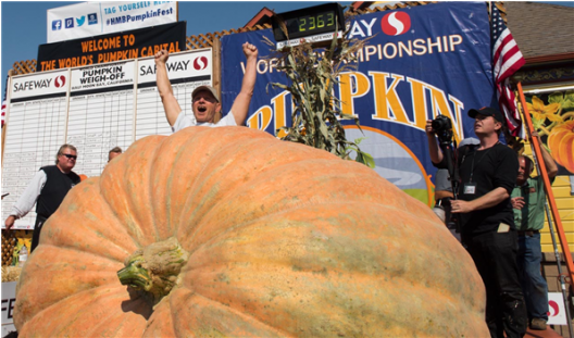 Attractionspumpkin - 45th Safeway World Championship Pumpkin Weigh Off (620x310), Png Download