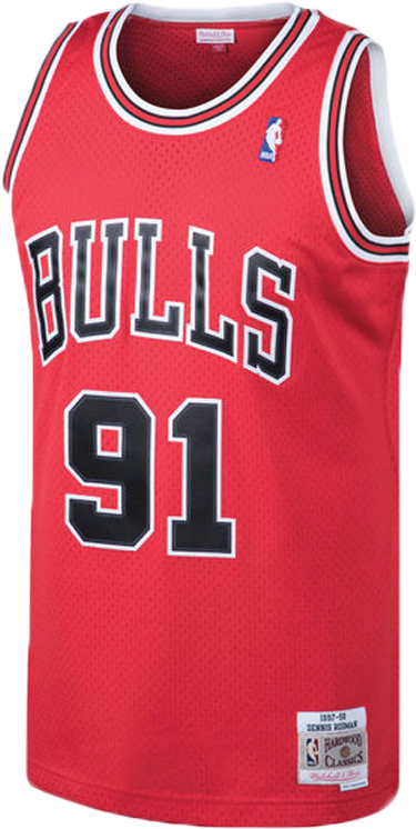 Chicago Bulls Dennis Rodman Red Swingman Jersey - Dennis Rodman Nba Jersey (726x828), Png Download