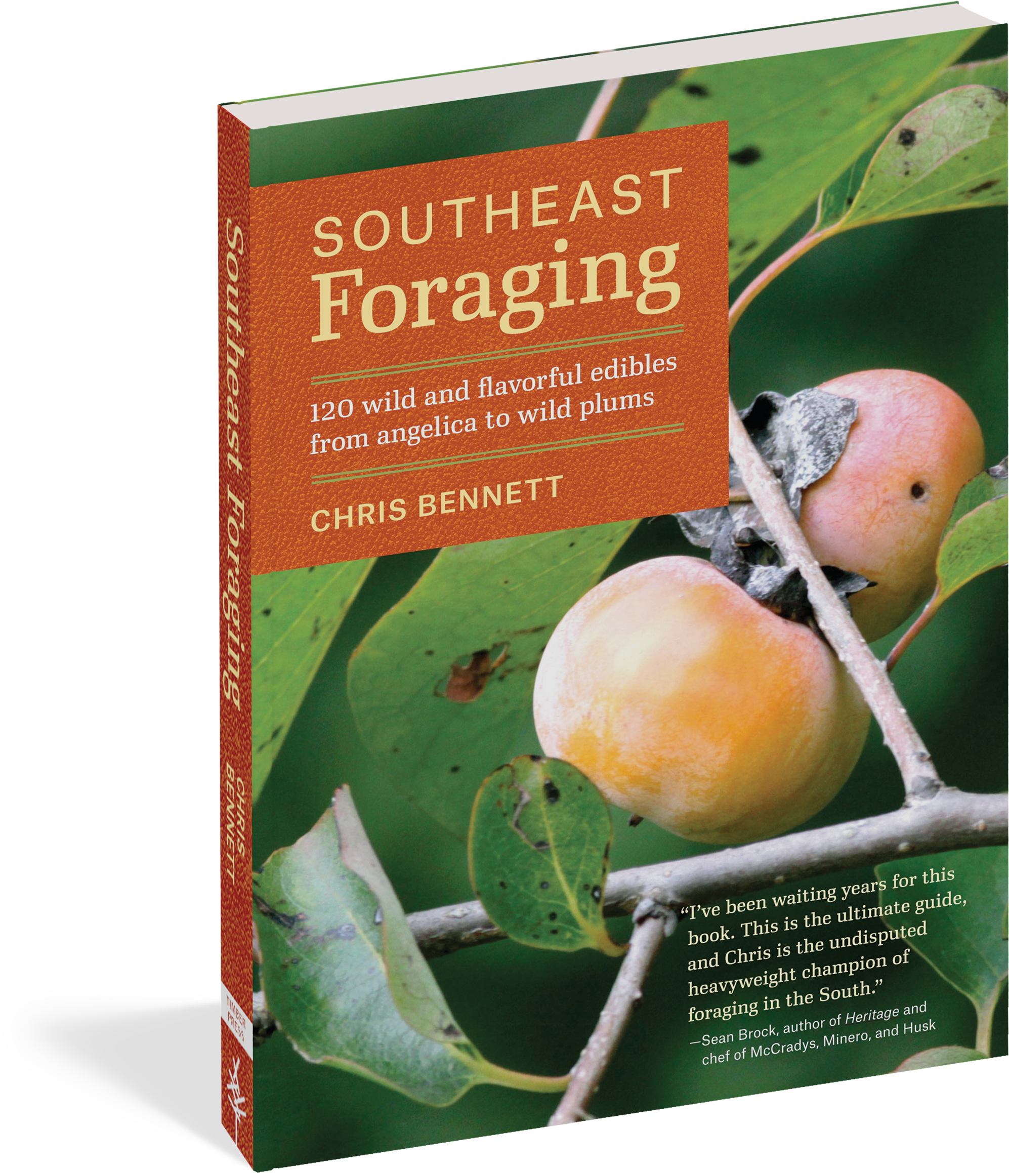 Cover - Southeast Foraging: 120 Wild And Flavorful Edibles (2133x2400), Png Download