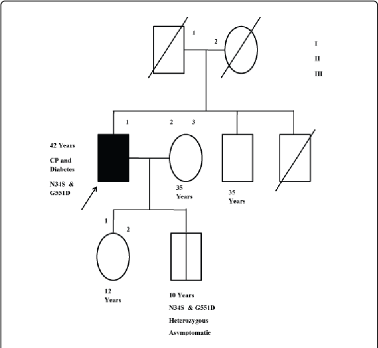 Square - Male - Circle - Female - Dark Shade - - Diagram (769x705), Png Download