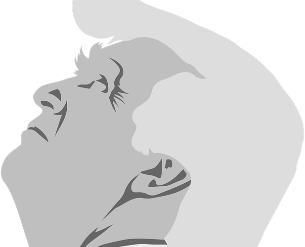 The Past Two Weeks Have Been Some Of The Worst For - Cartoon Trump Head Black And White Transparent (617x500), Png Download
