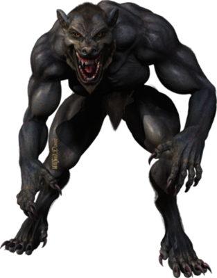 Werewolf Png - Photo - Werewolf Silhouette Transparent Background (313x400), Png Download