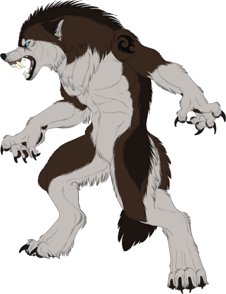 Drawn Wolfman Mixed Animal - Werewolf (784x1019), Png Download