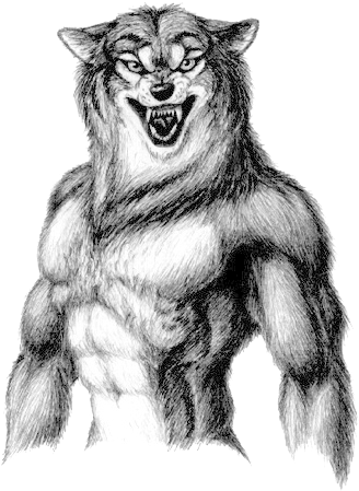 Wolfman - Werewolf Drawings (449x449), Png Download