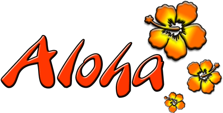 Polynesia Clipart Hawaiian Shirt - Aloha Helados (500x250), Png Download