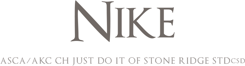 Just Do It Of Stone Ridge Stdcsd "nike" - Calligraphy (1200x400), Png Download