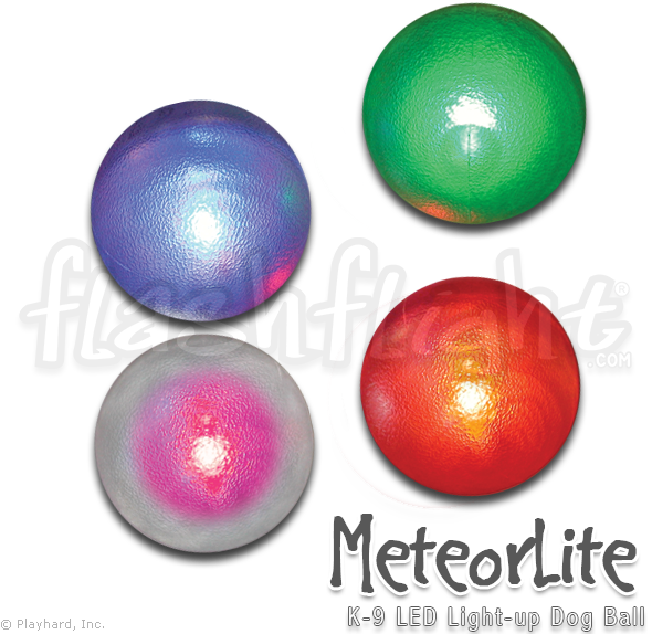 K 9 Led Light Up Dog Ball - Dog (600x600), Png Download